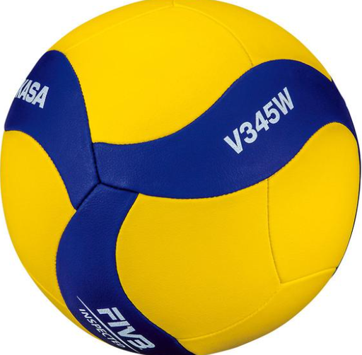 [VOL001] Mikasa Volleybal